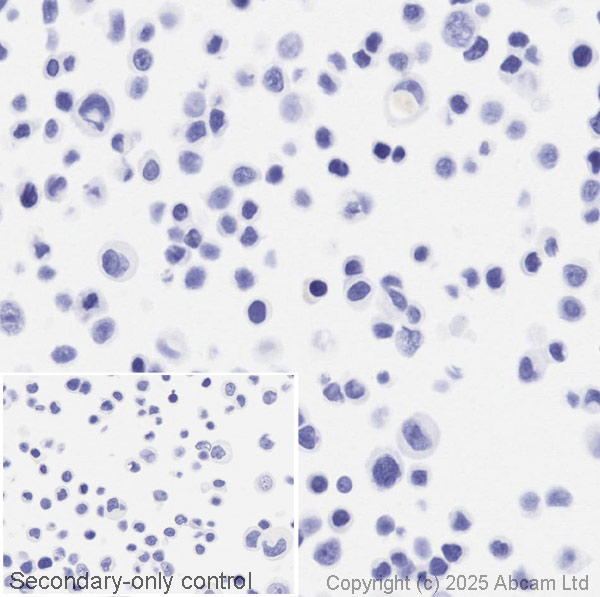 Immunohistochemistry (Formalin/PFA-fixed paraffin-embedded sections) - Anti-ErbB2 / HER2 antibody [EP1045Y] (ab134182), expandable thumbnail