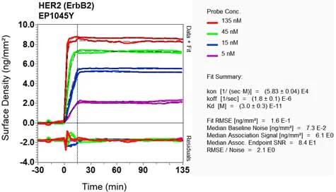 OI-RD Scanning - Anti-ErbB2 / HER2 antibody [EP1045Y] - BSA and Azide free (AB194979)