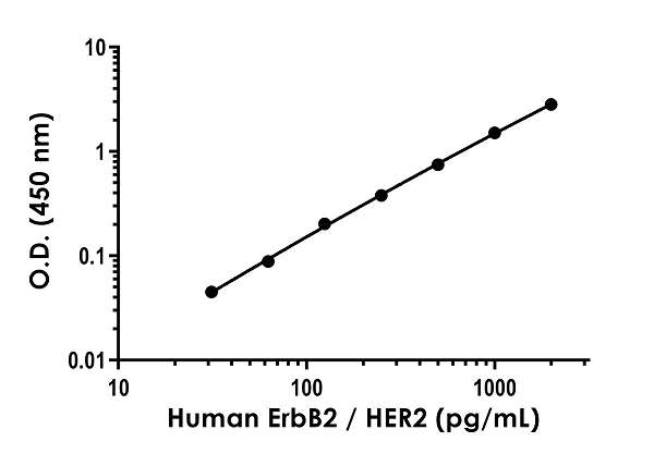 Sandwich ELISA - Anti-ErbB2 / HER2 antibody [EPR23953-20] - BSA and Azide free (Detector) (AB281124)