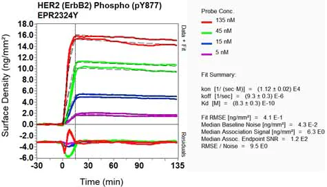 OI-RD Scanning - Anti-ErbB2 / HER2 (phospho Y877) antibody [EPR2324Y] (AB75873)