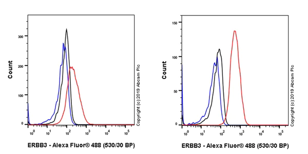 Flow Cytometry (Intracellular) - Anti-ErbB3 / HER3 antibody [EPR22669-25] (AB255607)