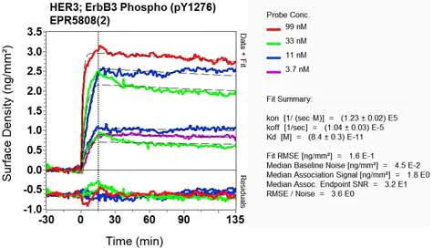 OI-RD Scanning - Anti-ErbB3 / HER3 (phospho Y1276) antibody [EPR5808(2)] - BSA and Azide free (AB232058)