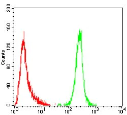 Flow Cytometry - Anti-ErbB4 / HER4 antibody [5G6B4] - C-terminal (AB204959)