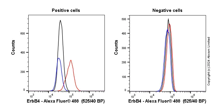 Flow Cytometry (Intracellular) - Anti-ErbB4 / HER4 antibody [EP192Y] (AB76303)