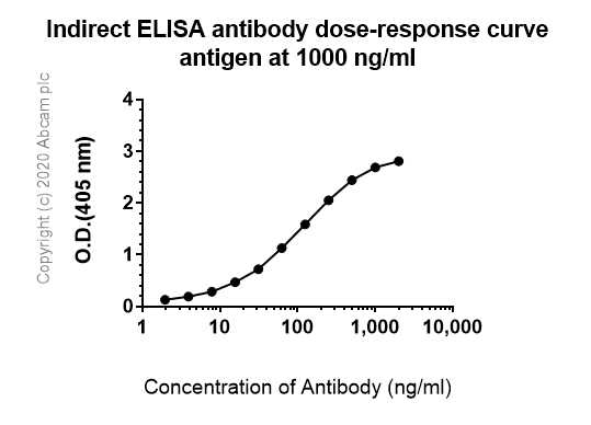 Indirect ELISA - Anti-ErbB4 / HER4+ErbB2 / HER2 antibody [EPR22665-104] - BSA and Azide free (AB263027), expandable thumbnail
