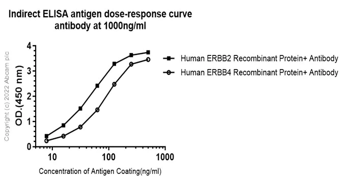 Indirect ELISA - Anti-ErbB4 / HER4+ErbB2 / HER2 antibody [EPR22665-104] - BSA and Azide free (AB263027)