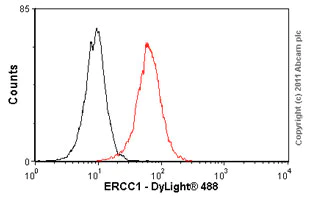 Flow Cytometry - Anti-ERCC1 antibody [8F1] (AB2356)