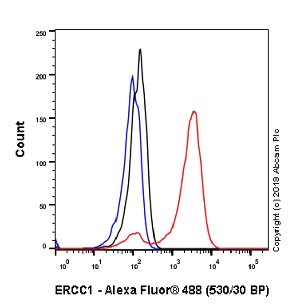 Flow Cytometry (Intracellular) - Anti-ERCC1 antibody [EP2143Y] - BSA and Azide free (AB284749)