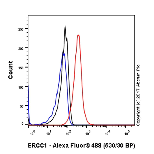 Flow Cytometry (Intracellular) - Anti-ERCC1 antibody [EPR7277] - BSA and Azide free (AB232422)