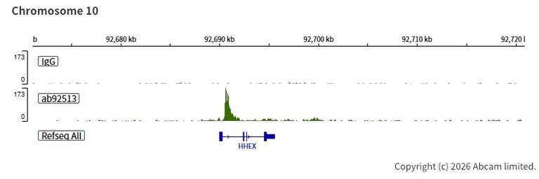 ChIC/CUT&RUN sequencing - Anti-ERG antibody [EPR3864] (AB92513)