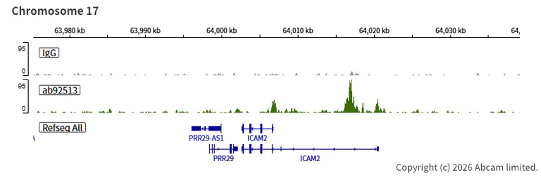 ChIC/CUT&RUN sequencing - Anti-ERG antibody [EPR3864] (AB92513)