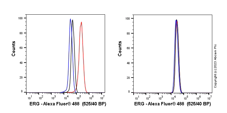 Flow Cytometry (Intracellular) - Anti-ERG antibody [EPR3864] (AB92513)