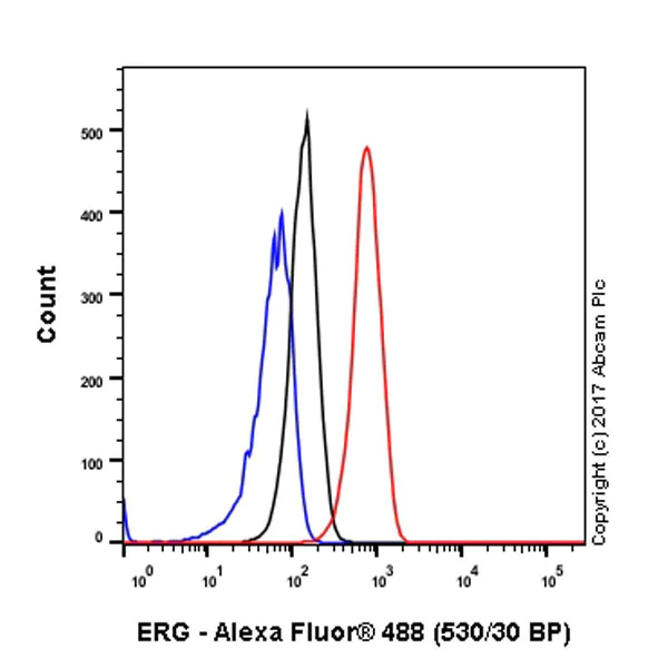 Flow Cytometry (Intracellular) - Anti-ERG antibody [EPR3864] - BSA and Azide free (AB214796)