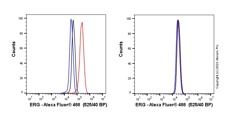 Flow Cytometry (Intracellular) - Anti-ERG antibody [EPR3864] - BSA and Azide free (ab214796), expandable thumbnail