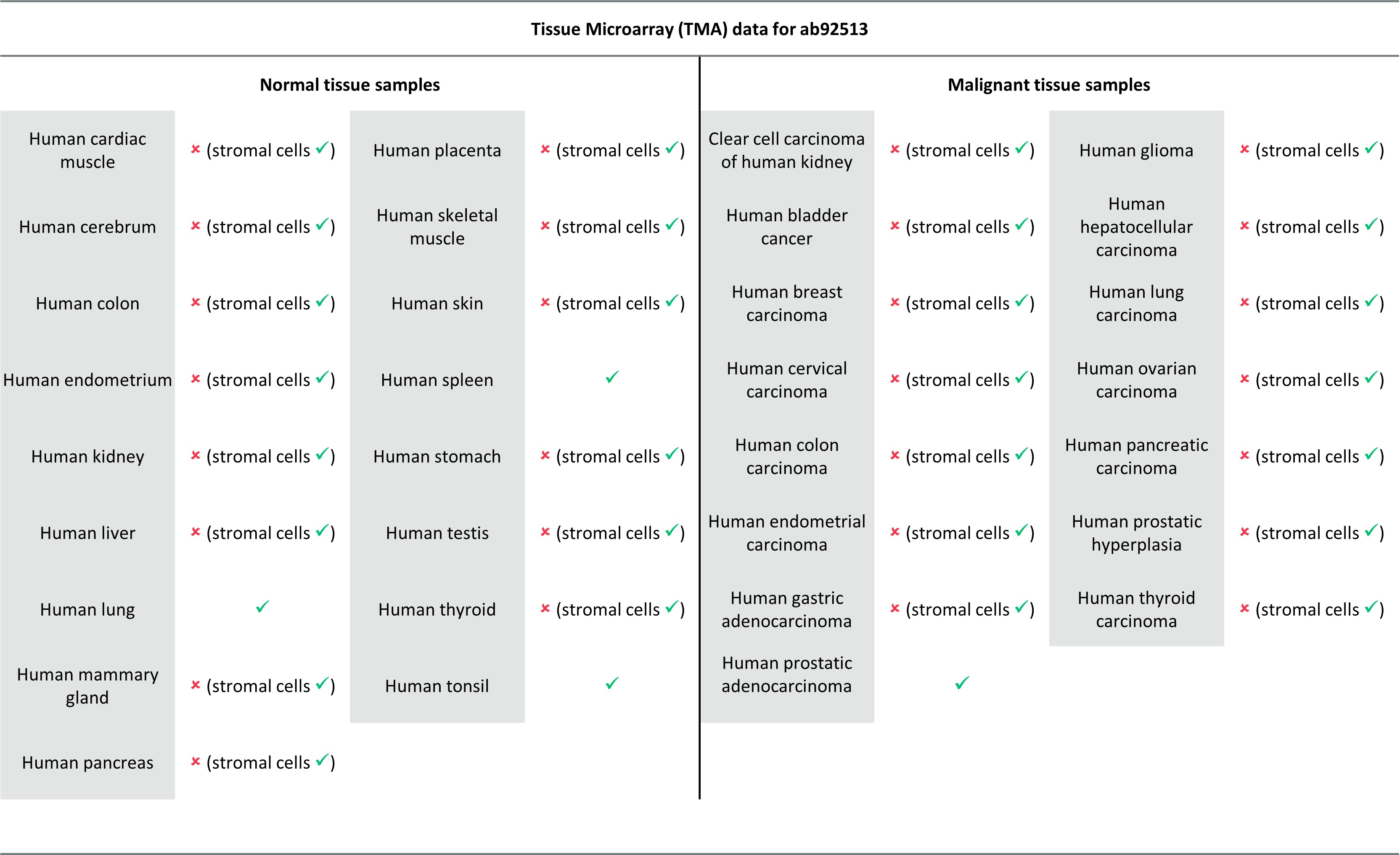 Immunohistochemistry (Formalin/PFA-fixed paraffin-embedded sections) - Anti-ERG antibody [EPR3864] - BSA and Azide free (ab214796), expandable thumbnail