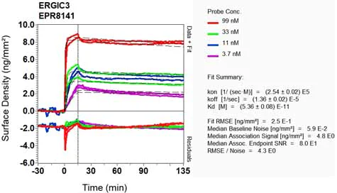 OI-RD Scanning - Anti-ERGIC3 antibody [EPR8141] - BSA and Azide free (AB248334)