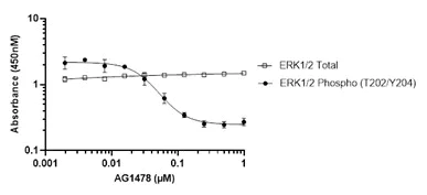 Sandwich ELISA - ERK1/2 ELISA Kit (AB176641)