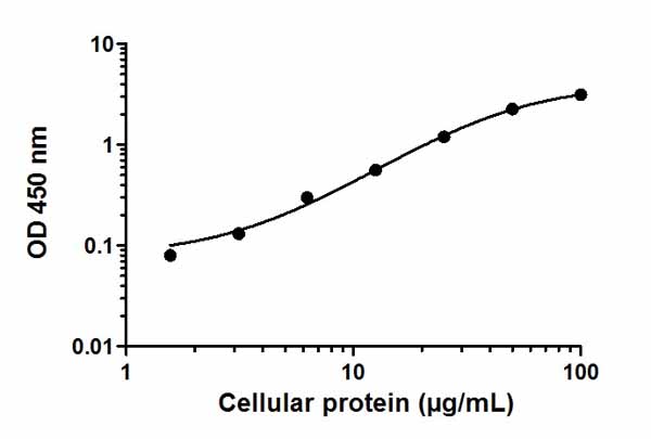 Sandwich ELISA - ERK1/2 (pT202/Y204) ELISA Kit (AB176640), expandable thumbnail