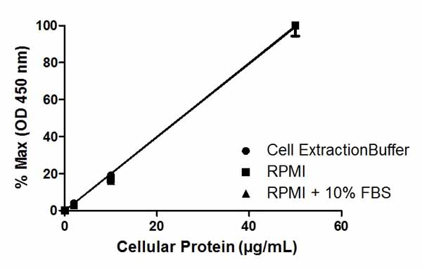Sandwich ELISA - ERK1/2 (pT202/Y204) ELISA Kit (AB176640), expandable thumbnail
