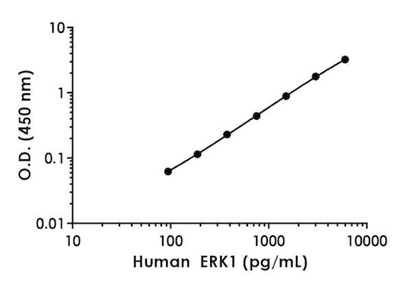 Sandwich ELISA - Anti-ERK1 antibody [EPR72-5] - BSA and Azide free (Capture) (AB242622)