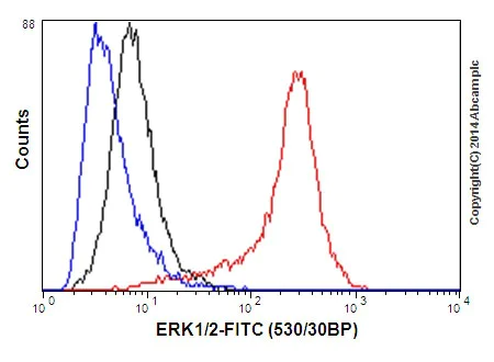 Anti-ERK1 + ERK2 antibody [EPR17526] (ab184699) | Abcam