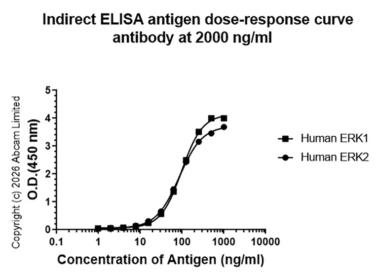 Indirect ELISA - Anti-ERK1 + ERK2 antibody [EPR17526] - BSA and Azide free (Detector) (AB242993)