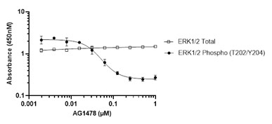 Sandwich ELISA - ERK1 (phospho T202 + Y204) + ERK2 (phospho T185 + Y187) + Total ELISA Kit (ab176660), expandable thumbnail