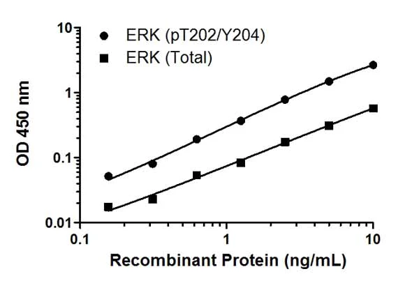 phospho ERK1 + phospho ERK2 + Total ELISA Kit (ab176660) | Abcam