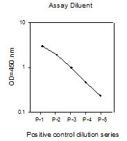 Sandwich ELISA - ERK1 (phospho T202 + Y204) + ERK2 (phospho T185 + Y187) + Total ERK1/2 ELISA Kit (AB126445)