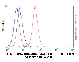 Anti-Erk1 (pT202/pY204) + Erk2 (pT185/pY187) antibody [E337