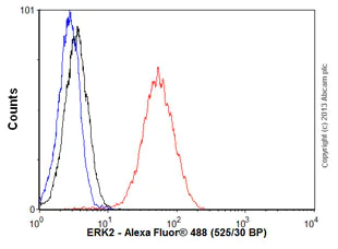 Flow Cytometry (Intracellular) - Anti-ERK2 antibody [E460] - BSA and Azide free (AB214170)