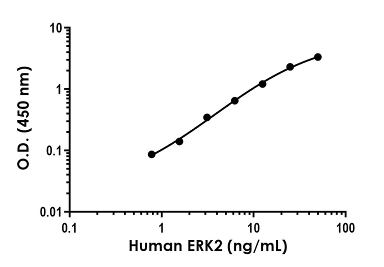Sandwich ELISA - Anti-ERK2 antibody [EPR26587-54] - BSA and Azide free (Detector) (AB314786)