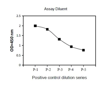 Sandwich ELISA - ERK2 (phospho T185 + Y187) + Total ERK2 ELISA Kit (AB279794)