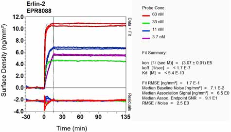 OI-RD Scanning - Anti-Erlin-2 antibody [EPR8088] (AB129207), expandable thumbnail