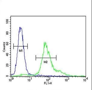 Flow Cytometry (Intracellular) - Anti-ERO1LB antibody - C-terminal (AB230540)