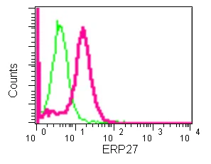 Flow Cytometry (Intracellular) - Anti-ERP27 antibody [EPR12503] (AB181172)