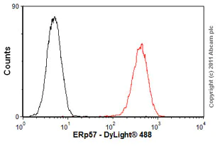Flow Cytometry - Anti-ERp57 antibody [MaP.Erp57] (AB13506)