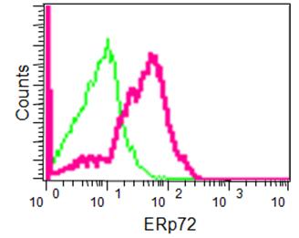 Flow Cytometry (Intracellular) - Anti-ERp72 antibody [EPR14824(B)] - BSA and Azide free (AB251013), expandable thumbnail