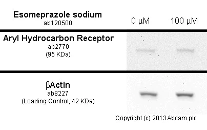 Functional Studies - Esomeprazole sodium, H+/ K+-ATPase (proton pump) inhibitor (AB120500)