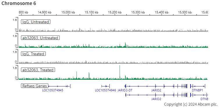 ChIC/CUT&RUN sequencing - Anti-Estrogen Receptor alpha antibody [E115] - BSA and Azide free (AB271827)