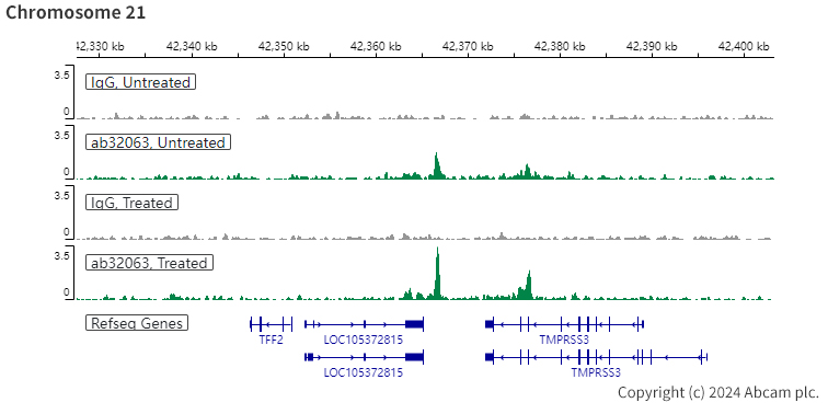 ChIC/CUT&RUN sequencing - Anti-Estrogen Receptor alpha antibody [E115] - BSA and Azide free (ab271827), expandable thumbnail