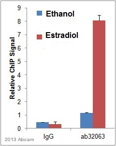 ChIP - Anti-Estrogen Receptor alpha antibody [E115] - BSA and Azide free (AB271827), expandable thumbnail