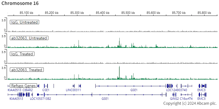 ChIC/CUT&RUN sequencing - Anti-Estrogen Receptor alpha antibody [E115] - ChIP Grade (AB32063)