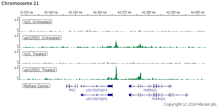 ChIC/CUT&RUN sequencing - Anti-Estrogen Receptor alpha antibody [E115] - ChIP Grade (AB32063)