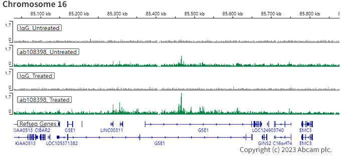 ChIC/CUT&RUN sequencing - Anti-Estrogen Receptor alpha antibody [EPR4097] - BSA and Azide free (ab167610), expandable thumbnail