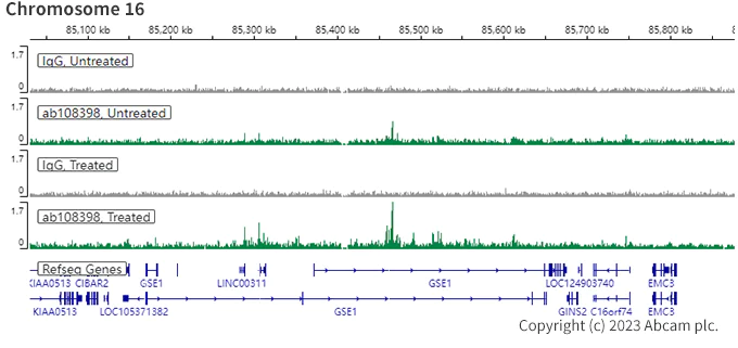 ChIC/CUT&RUN sequencing - Anti-Estrogen Receptor alpha antibody [EPR4097] - BSA and Azide free (AB167610)