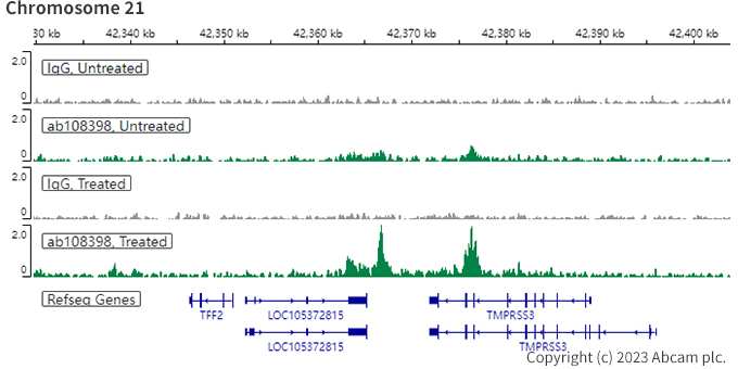 ChIC/CUT&RUN sequencing - Anti-Estrogen Receptor alpha antibody [EPR4097] - BSA and Azide free (ab167610), expandable thumbnail
