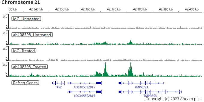 ChIC/CUT&RUN sequencing - Anti-Estrogen Receptor alpha antibody [EPR4097] - BSA and Azide free (AB167610)