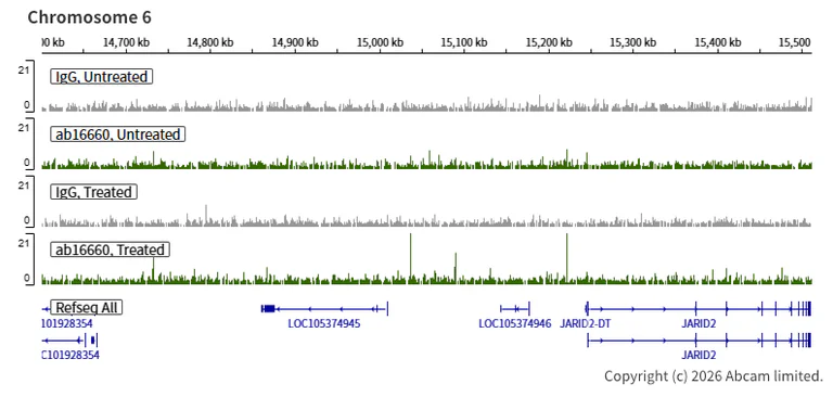 ChIC/CUT&RUN sequencing - Anti-Estrogen Receptor alpha antibody [SP1] (AB16660)