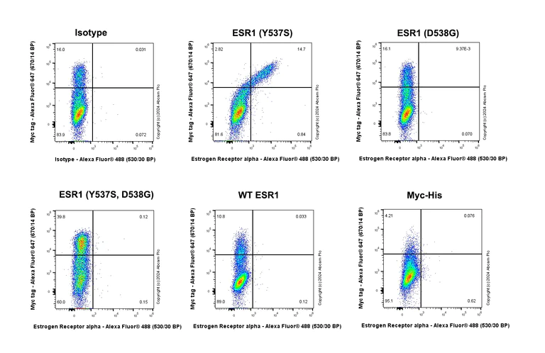 Flow Cytometry (Intracellular) - Anti-Estrogen Receptor alpha (mutated Y537S) antibody [EPR28709-53] - BSA and Azide free (AB316767)